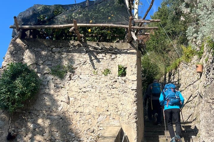 Amalfi Lemon Path: Sentiero dei Limoni Walk with Limoncello Tasting & Transfer photo 3