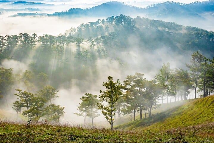 Da Lat Sunrise & Cloud Hunting Tour to Cau Dat Tea Hills photo 4