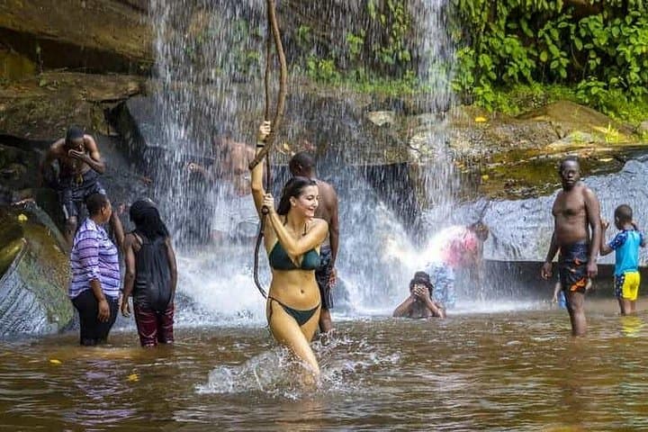 Shimba Hills Day Tour from Mombasa & Diani — Sable Antelope, Sheldrick Falls and Coastal Forest Hike photo 2