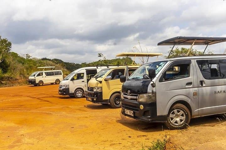 Shimba Hills Day Tour from Mombasa & Diani — Sable Antelope, Sheldrick Falls and Coastal Forest Hike photo 4