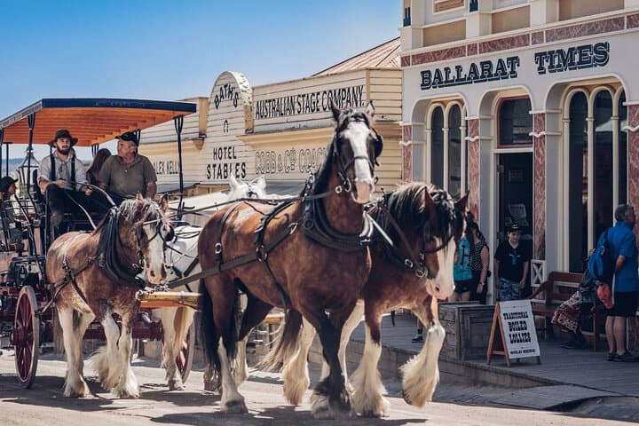 Ballarat Gold Rush Tour: Sovereign Hill, Underground Mine & Lake Wendouree photo 3