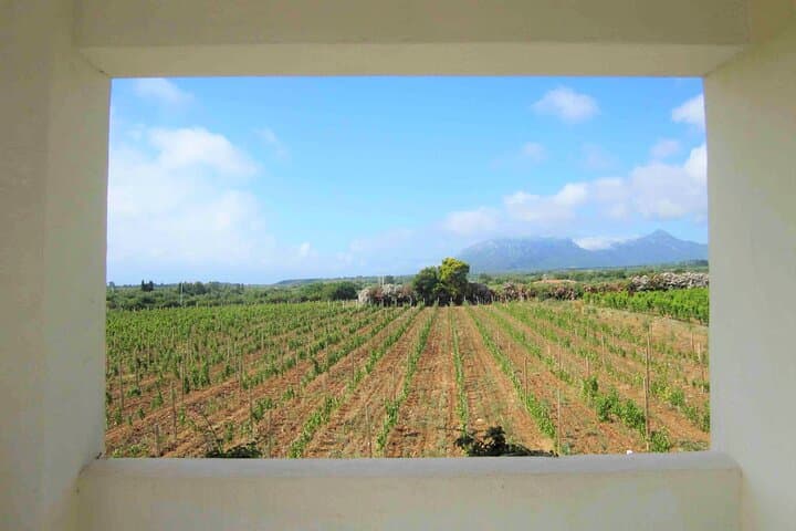 Private Jeep Tour from Orosei: Nuraghe, Su Barone & Cannonau Tasting photo 4