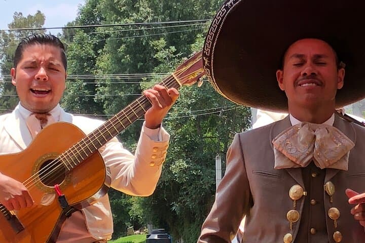 Explore Frida’s World: Coyoacán & Xochimilco Canals Tour