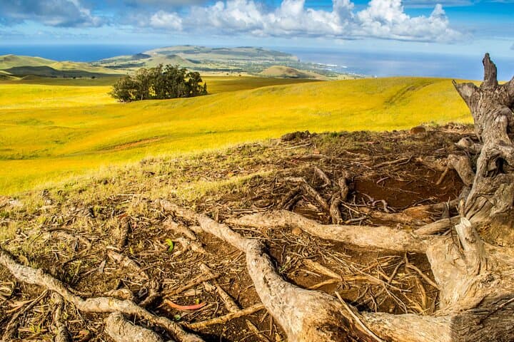 Hike Maunga Terevaka: Summit Rapa Nui for 360° Ocean Views