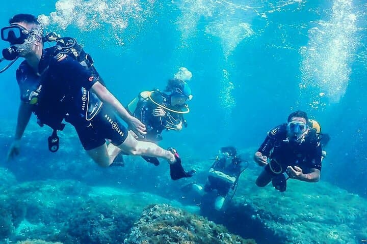 Personalized Diving and Snorkeling in Riviera Maya — Puerto Aventuras Marina Reefs