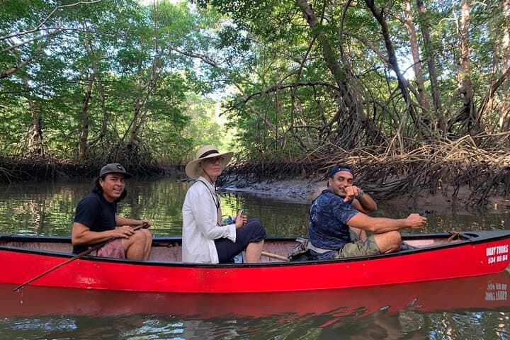 Private Mangrove Canoe Safari at Marino Las Baulas: Silent Wildlife Viewing photo 3