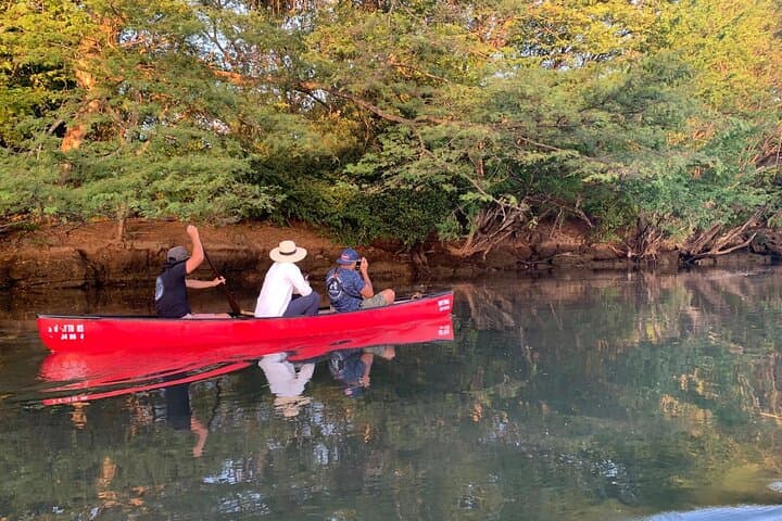 Private Mangrove Canoe Safari at Marino Las Baulas: Silent Wildlife Viewing photo 4