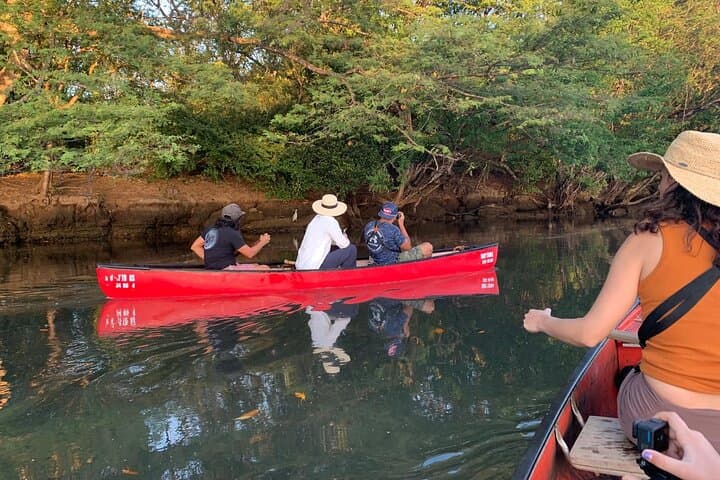 Private Mangrove Canoe Safari at Marino Las Baulas: Silent Wildlife Viewing photo 5