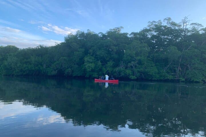 Private Mangrove Canoe Safari at Marino Las Baulas: Silent Wildlife Viewing photo 6
