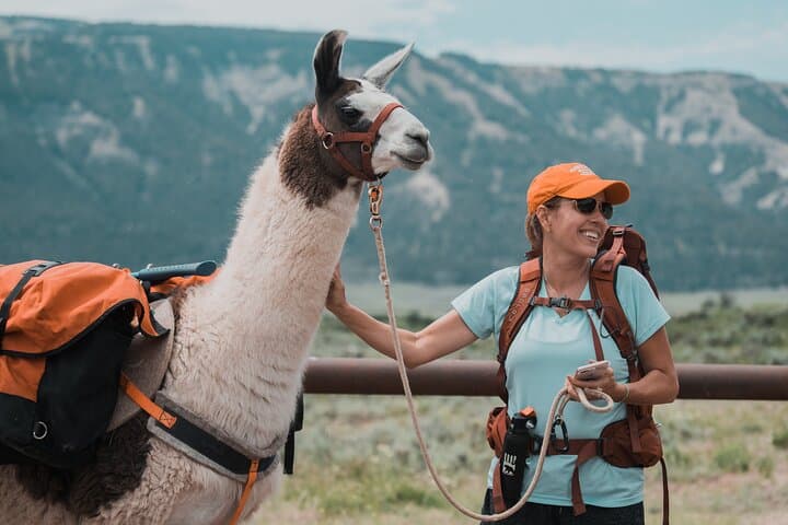 Llama Hike Through Capitol Reef’s Waterpocket Fold — Full-Day Guided Trek from Torrey