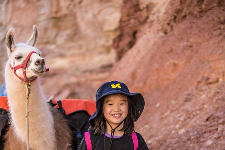 Llama Hike Through Capitol Reef’s Waterpocket Fold — Full-Day Guided Trek from Torrey photo 2