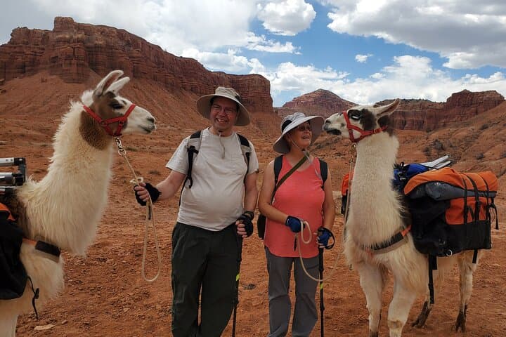 Llama Hike in Capitol Reef: 1-Hour Family Adventure in Torrey, UT photo 2