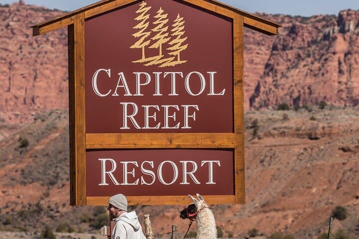 Llama Hike in Capitol Reef: 1-Hour Family Adventure in Torrey, UT photo 3