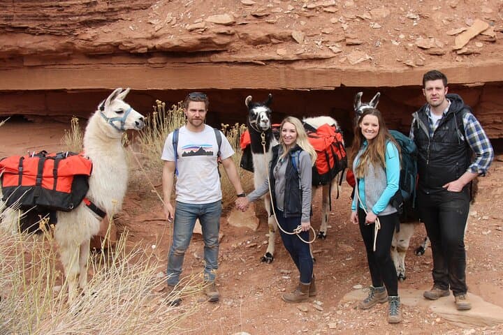Llama Hike in Capitol Reef: 1-Hour Family Adventure in Torrey, UT photo 5