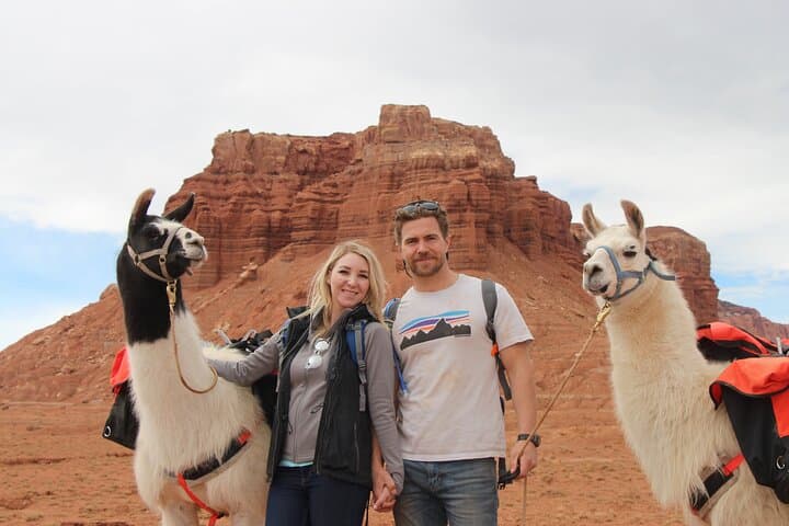 Llama Hike in Capitol Reef: 1-Hour Family Adventure in Torrey, UT photo 6