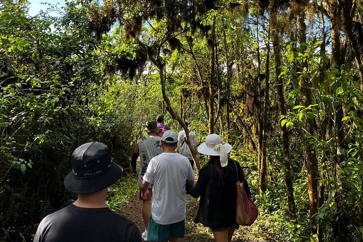 Santa Cruz Lava Tunnels, Giant Turtles & Galapagos Coffee Adventure photo 4