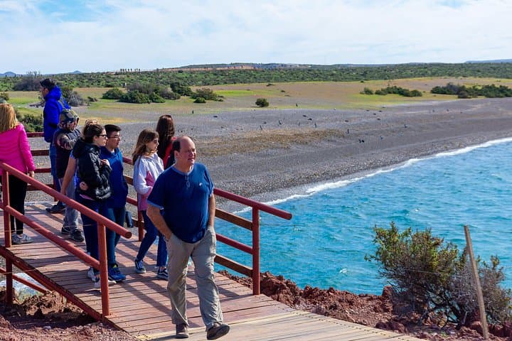 Punta Tombo Penguin Colony Shore Tour from Puerto Madryn photo 3