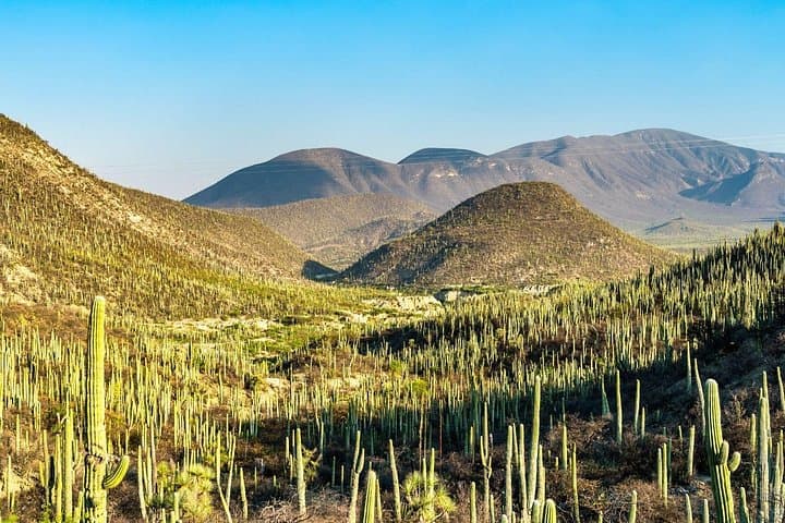 Explore Tehuacán-Cuicatlán Biosphere Reserve: Cacti, Salt Pans & Mezcal Tasting photo 3
