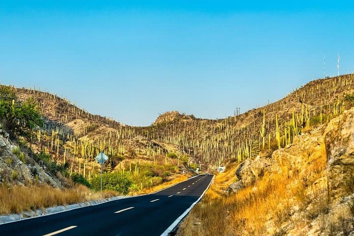 Explore Tehuacán-Cuicatlán Biosphere Reserve: Cacti, Salt Pans & Mezcal Tasting