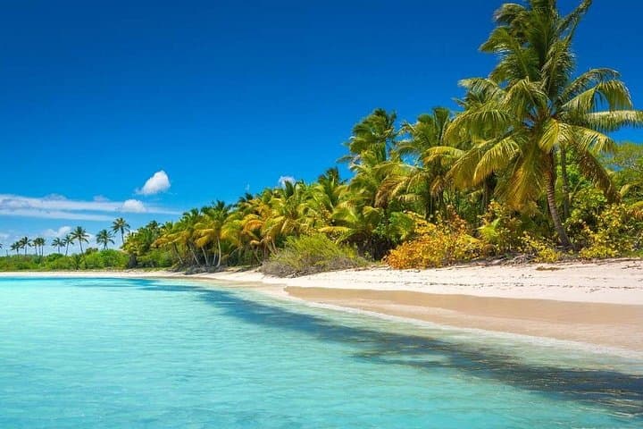 Saona Island Day Trip: Natural Pool, Beaches & Catamaran Party from Punta Cana photo 2