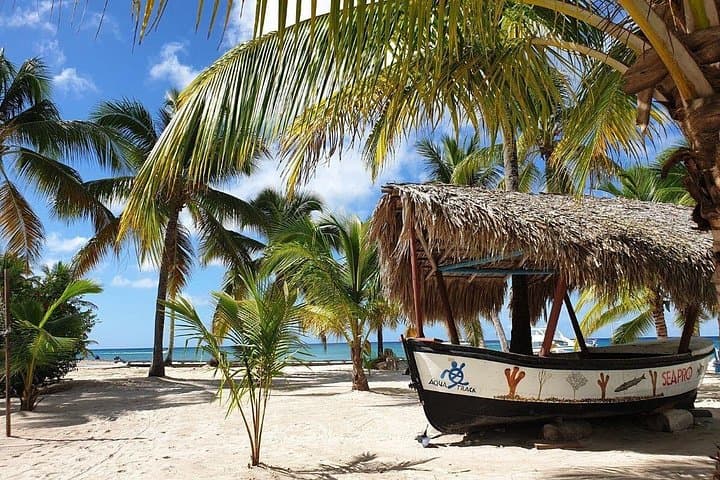 Saona Island Day Trip: Natural Pool, Beaches & Catamaran Party from Punta Cana photo 4
