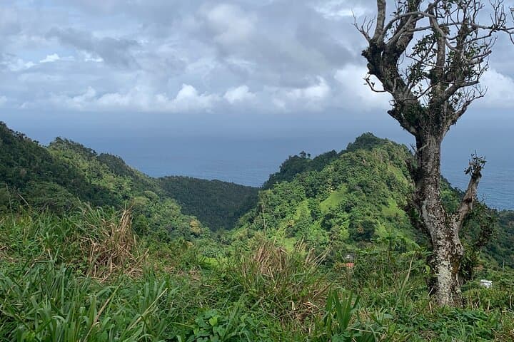 North Coast Dominica Day Tour — Calibishie Coast, Sulphur Springs & Beaches photo 2