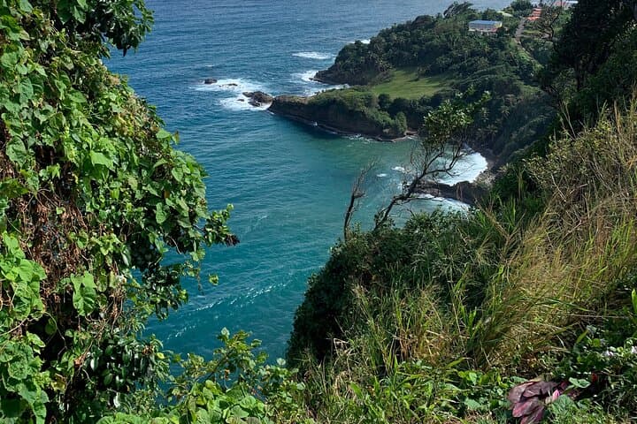 North Coast Dominica Day Tour — Calibishie Coast, Sulphur Springs & Beaches photo 3