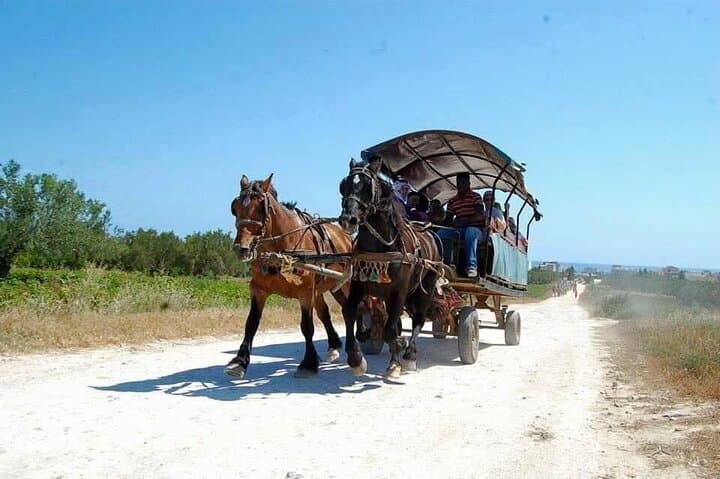Camel Caravan in Sousse: Traditional Ride & Village Experience photo 2