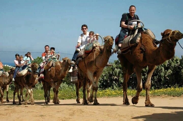 Camel Caravan in Sousse: Traditional Ride & Village Experience photo 3