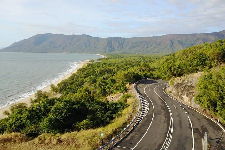 Daintree Rainforest & Mossman Gorge Day Trip: Cape Tribulation Tour from Port Douglas photo 4