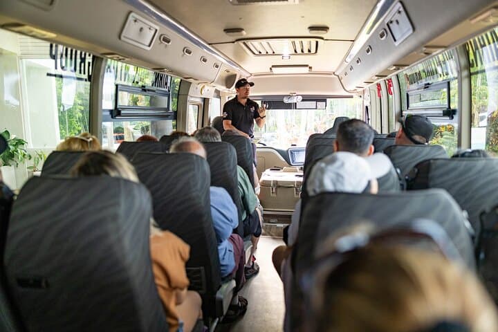 Daintree Rainforest & Mossman Gorge Day Trip: Cape Tribulation Tour from Port Douglas photo 3