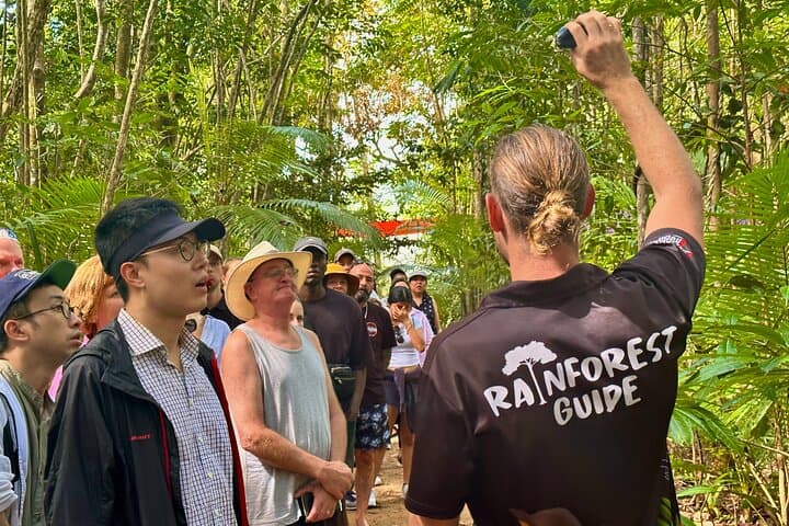 Daintree Rainforest & Mossman Gorge Day Trip: Cape Tribulation Tour from Port Douglas photo 5
