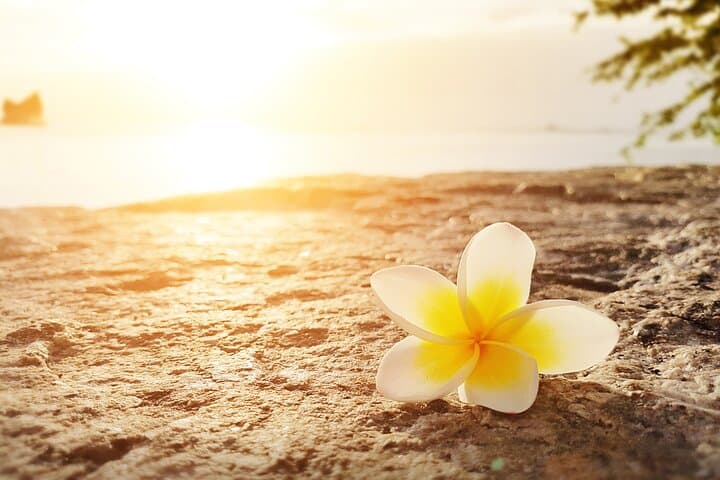 Maui West Side Personalized Retreat Day — Hawaiian Cultural Wellness Experience
