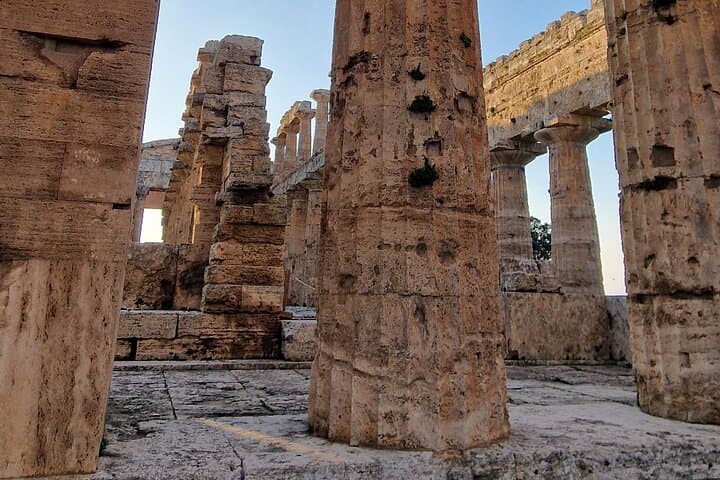 Paestum Archaeological Park & Museum Walk — Guided Tour of Ancient Greek Temples photo 6