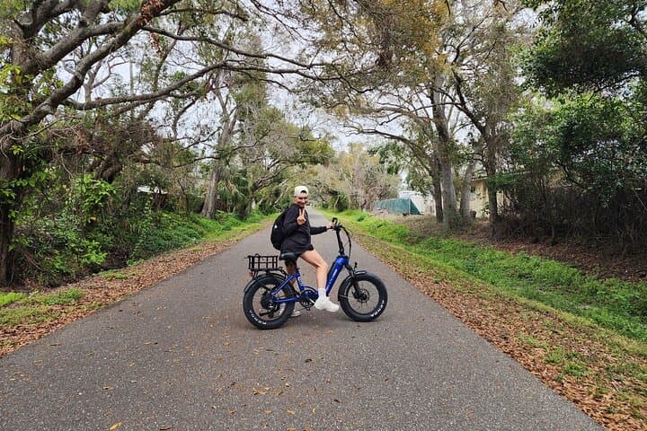 Pinellas Trail Half-Day E-Bike Rental: Explore St. Petersburg by Electric Bike photo 6