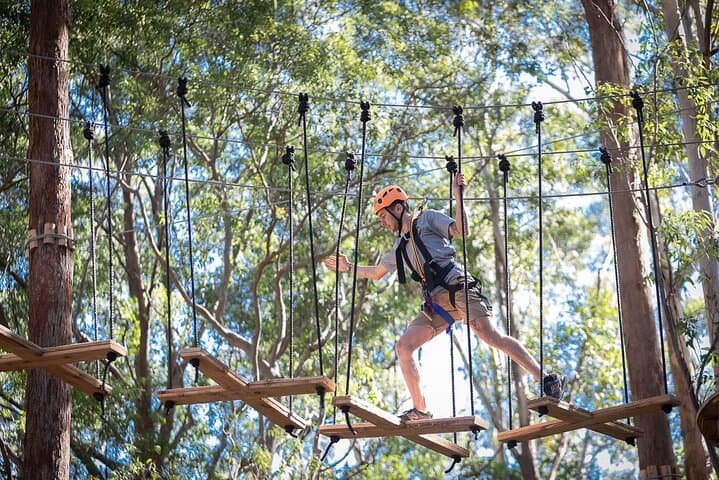 Treetops Adventure The Hills Tree Ropes Course Cumberland State Forest photo 2