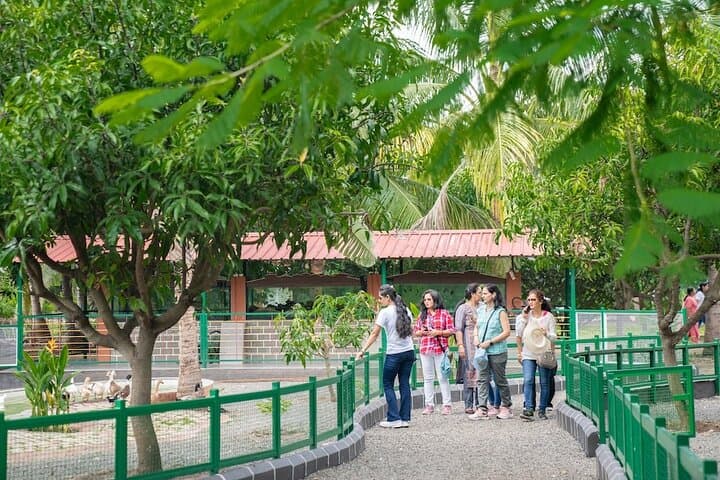 Meher Retreat Day Picnic Near Pune — Farm Lunch, Waterpark & Boating photo 6