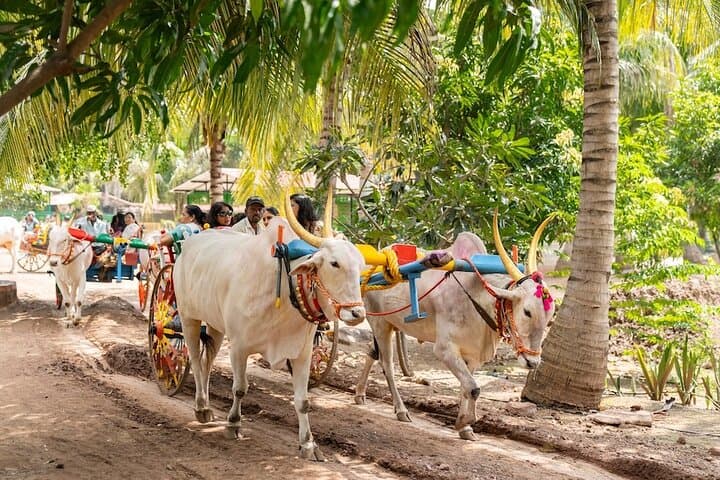 Meher Retreat Day Picnic Near Pune — Farm Lunch, Waterpark & Boating photo 5
