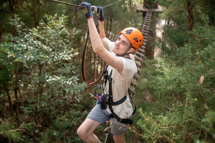 Treetops Adventure Central Coast: Ourimbah State Forest Tree Ropes Course photo 4