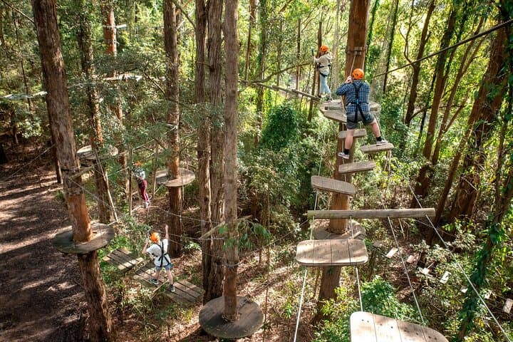 Treetops Adventure Central Coast: Ourimbah State Forest Tree Ropes Course