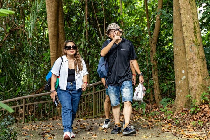 Mount Faber & Henderson Waves Morning Guided Walk — Southern Ridges Scenic Tour photo 4