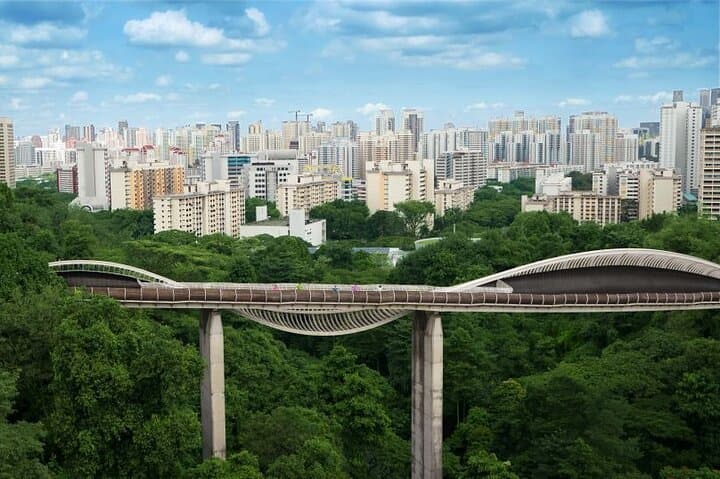 Mount Faber & Henderson Waves Morning Guided Walk — Southern Ridges Scenic Tour photo 2