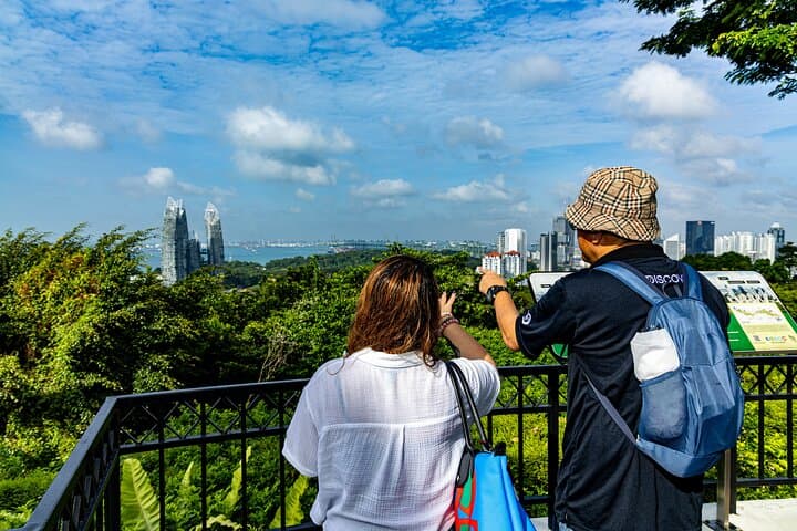 Mount Faber & Henderson Waves Morning Guided Walk — Southern Ridges Scenic Tour photo 3