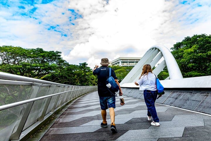 Mount Faber & Henderson Waves Morning Guided Walk — Southern Ridges Scenic Tour photo 1