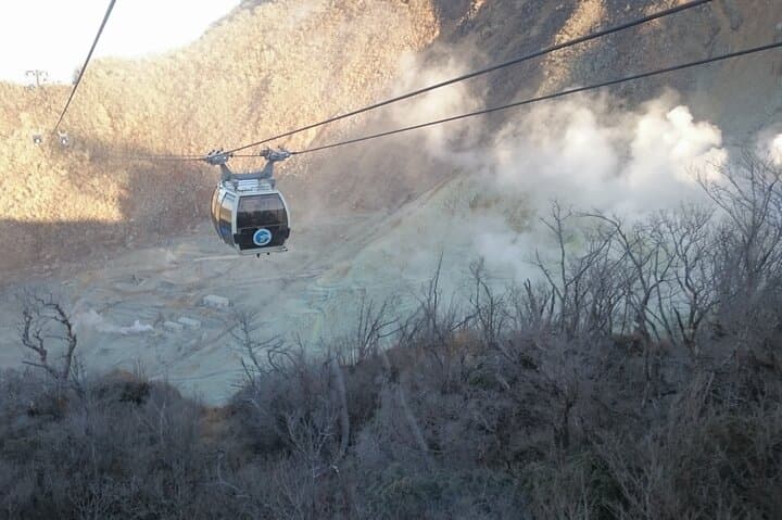 Shinjuku to Hakone Scenic Adventure: Train, Ropeway & Lake Ashi Cruise photo 6