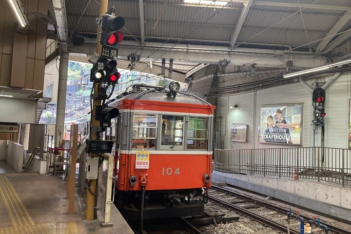 Hakone Scenic Loop: Odawara to Lake Ashi by Railway, Ropeway & Sightseeing Boat photo 6