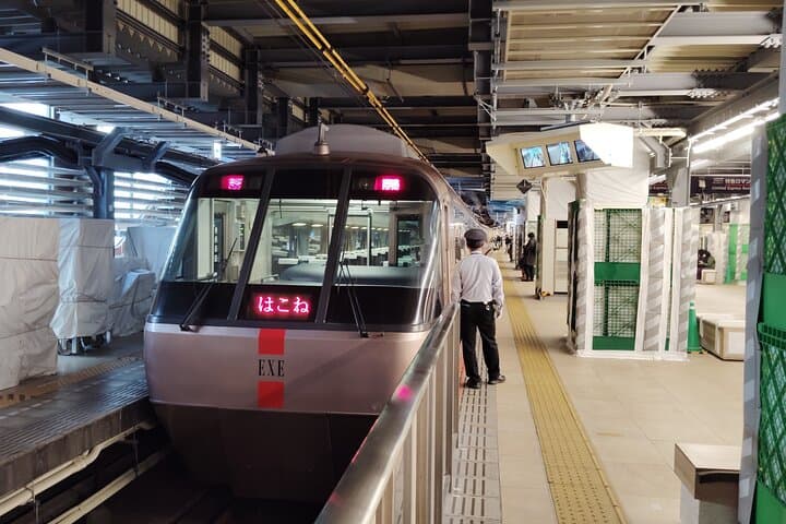 Shinjuku to Hakone Scenic Adventure: Train, Ropeway & Lake Ashi Cruise photo 5