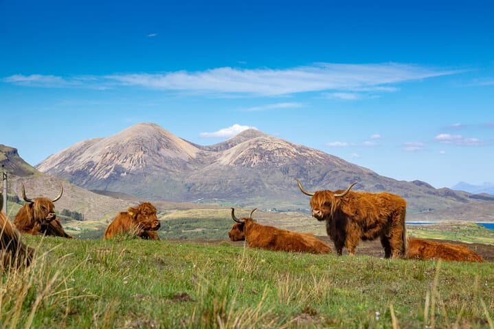 Private Day Tour: Glenfinnan Viaduct, Glencoe & Ben Nevis from Inverness photo 5