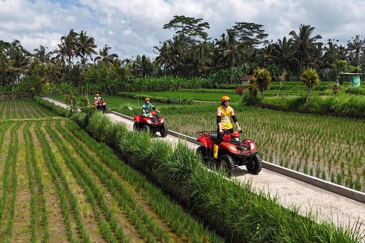 Ubud Gorilla ATV Adventure: 90-Min Quad Ride Through Rice Fields & Jungle photo 4