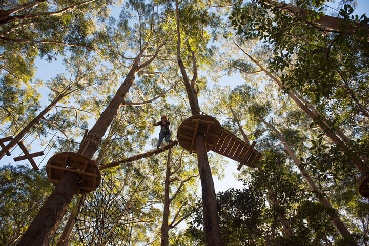 Treetops Adventure Coffs Harbour: Canopy Ropes Course & 14 Ziplines photo 5